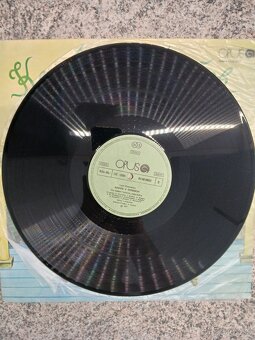Kocúr v čižmách vinyl - 4