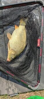 Boilies - 4
