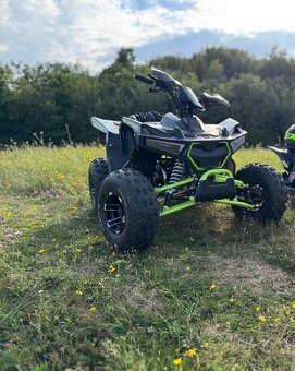 ATV 125 Panther Deluxe - 4