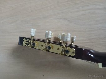 Gitara Ashton - 4