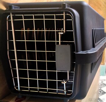 Ragdoll mačiatka kocúrik - 4