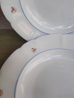 Staré taniere hrubostenné ditmar-urbach a iné - 4