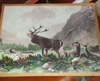 Staré poľovnícke obrazky - 4