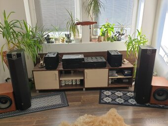 Focal Chorus 716 W limitovana edicia - 4