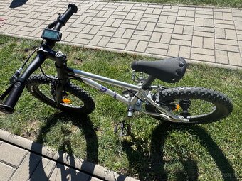 predam early rider seeker 16 - 4