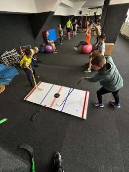 Game changer,podložka,trenažér,podložka,hockey - 4