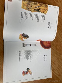 Veľká školská encyklopédia - 4