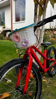 Specialized Jett 20 - 4