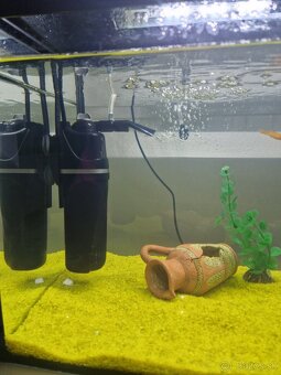 Predám 56l akvárium Aquael - 4