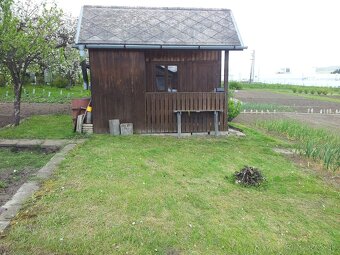 Predaj záhradky. - 4