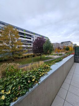 2-izbový byt s veľkou terasou a parkovacím miestom - 4