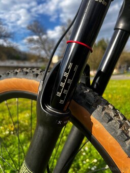 Custom Kellys Thorx 160/140mm - 4