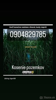 Kosenie ,mulcovanie ,Topoľčany, Nitra, Partizánske, Bánovce, - 4