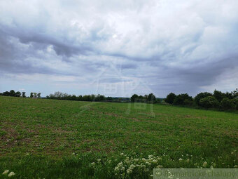 Návrat k prírode vo veľkom štýle: Dom, 1900m² záhrady s ov - 4