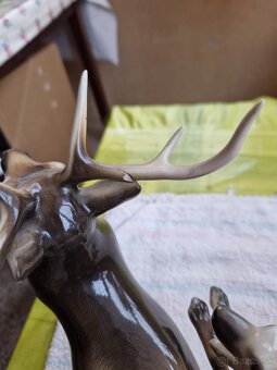 Soska jelen s vlkom - 4