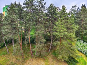 1 izbovy byt Banska Bystrica, Stará Sasová/Rudlova - 4