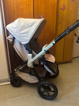 Kocik Concord Wanderer - 4