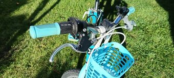 Dievčenský bicykel 20 - 4