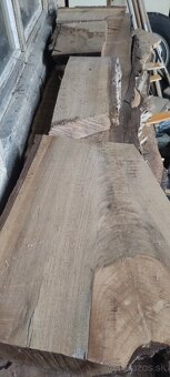 Predam Orechove Fosne (vysusene viac druhov ) - 4