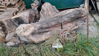 Predam orechove drevo - 4