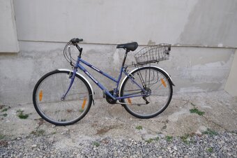 Bicykel Author,,28" - 4