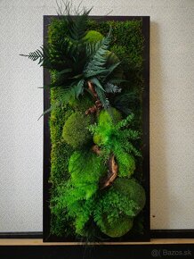 Machový obraz rastliny - 4