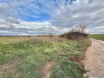 Predaj pozemok katastrálne územie Gemer 8689 m2 - 4