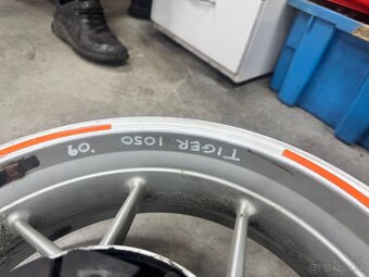 Disk Triumph tiger 1050 - 4