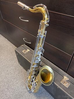 Amati Kraslice Classic Deluxe + kufor - 4