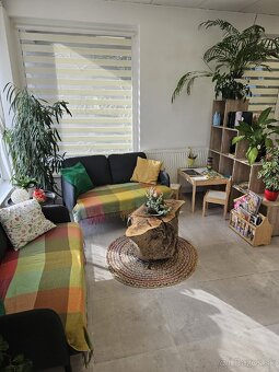Prenajom obchodneho priestoru 100 m2 - 4