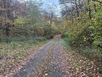 Pozemok v chatovej oblasti Vyšný Kazimír - 4