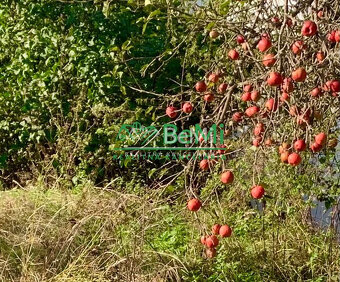 Výhodná ponuka, záhrada 320 m2, Riečka, Banská Bystrica - 4