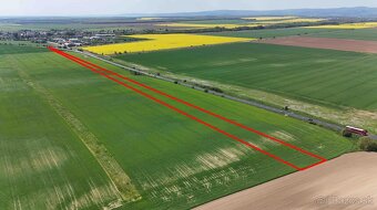 Blatné – 7.200 m2 ORNÁ PÔDA 1/1 s prístupom od cesty - 4