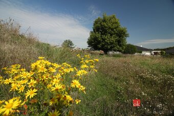 Projekt Rezidencia pod Lesom - 4