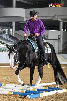 American Paint Horse kobylka frame overo - 4