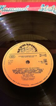 Lp Pavol Hammel-Šlehačková princezna - 4