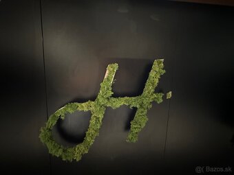 Pizzer - pizzerista zaučíme - 4