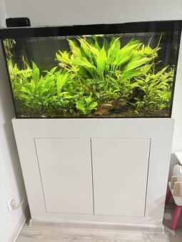 Akvárium s komodou komplet zariadené 150l - 4