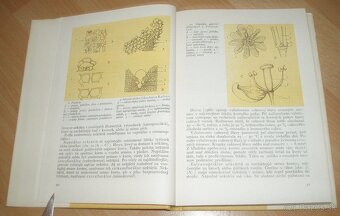 Medonosné rastliny - 4