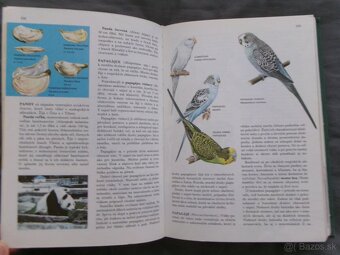 Svet živočišnej ríše. - 4