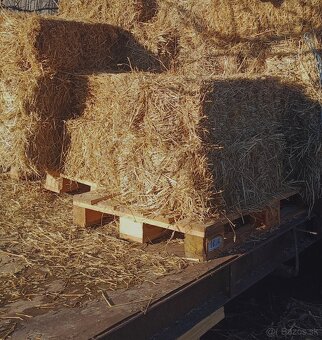 Predám malé balíky slamy  a sena - 4