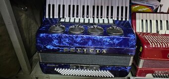 Harmonika delicia - 4