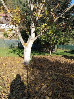 Stavebný pozemok v Ružomberku. - 4