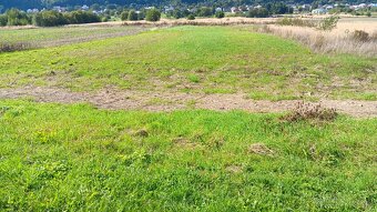 Pozemok na predaj - 4