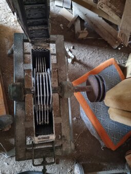 Kladivkovy srotovnik - 4