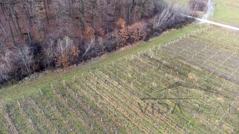 Krásny pozemok s potenciálom - 4