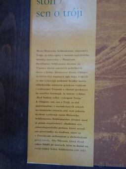 Beletrizovaný životopis - 4