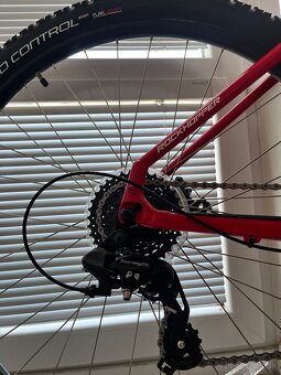 Specialized Rockhopper L 29" - 4