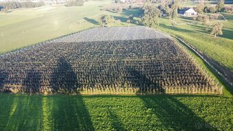 DJI Mavic Mini Fly Combo - 4