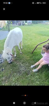 Predám poníka - 4